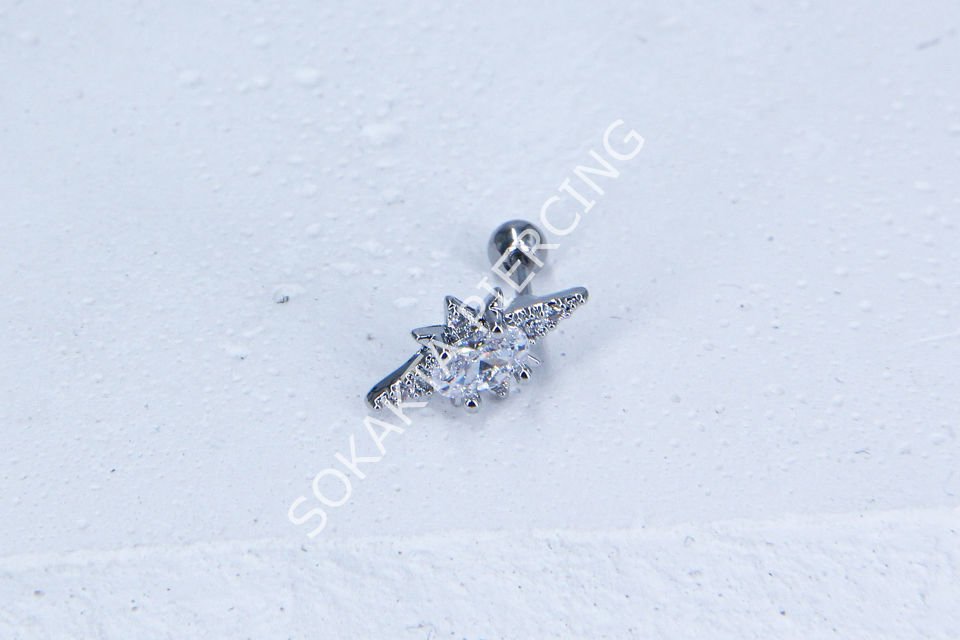 B9- TRAGUS