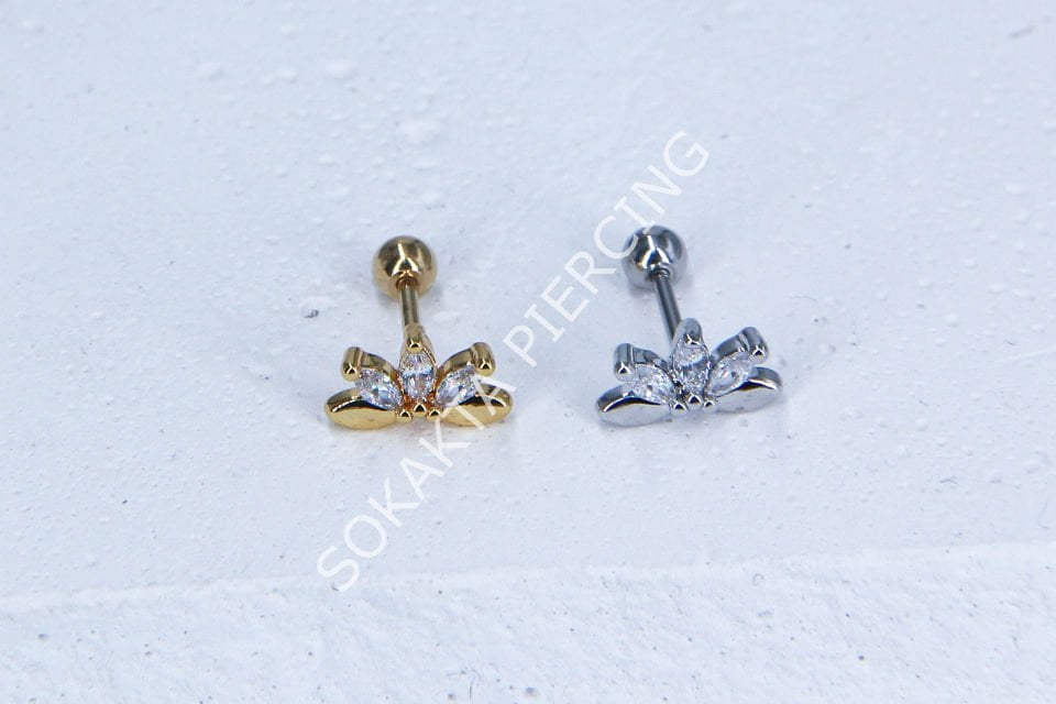 C13-TRAGUS