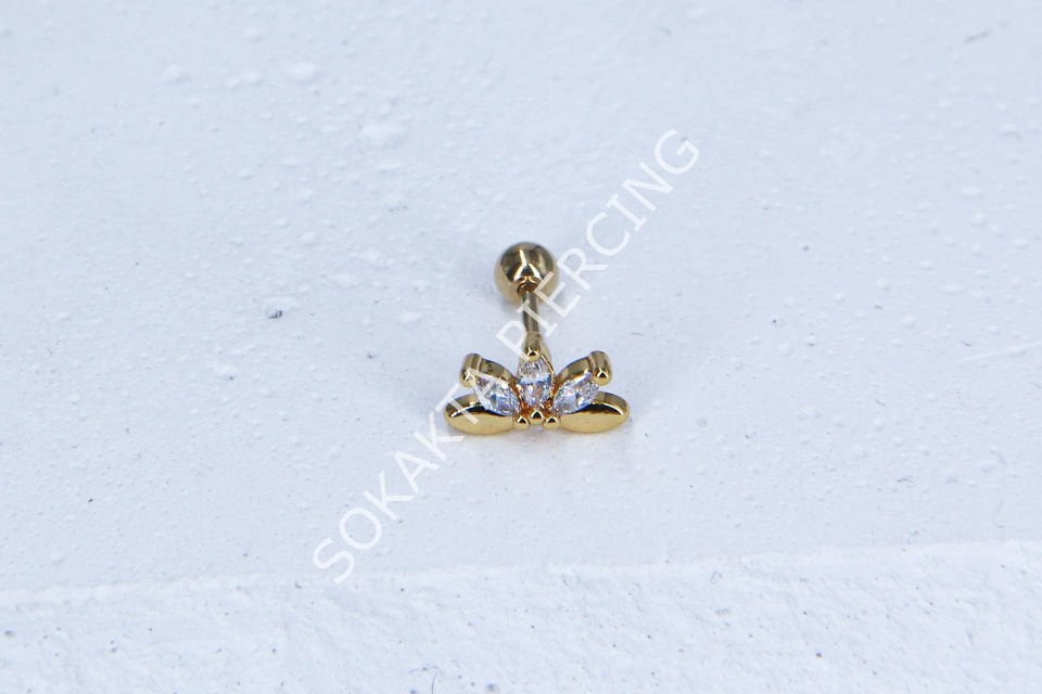 C13-TRAGUS