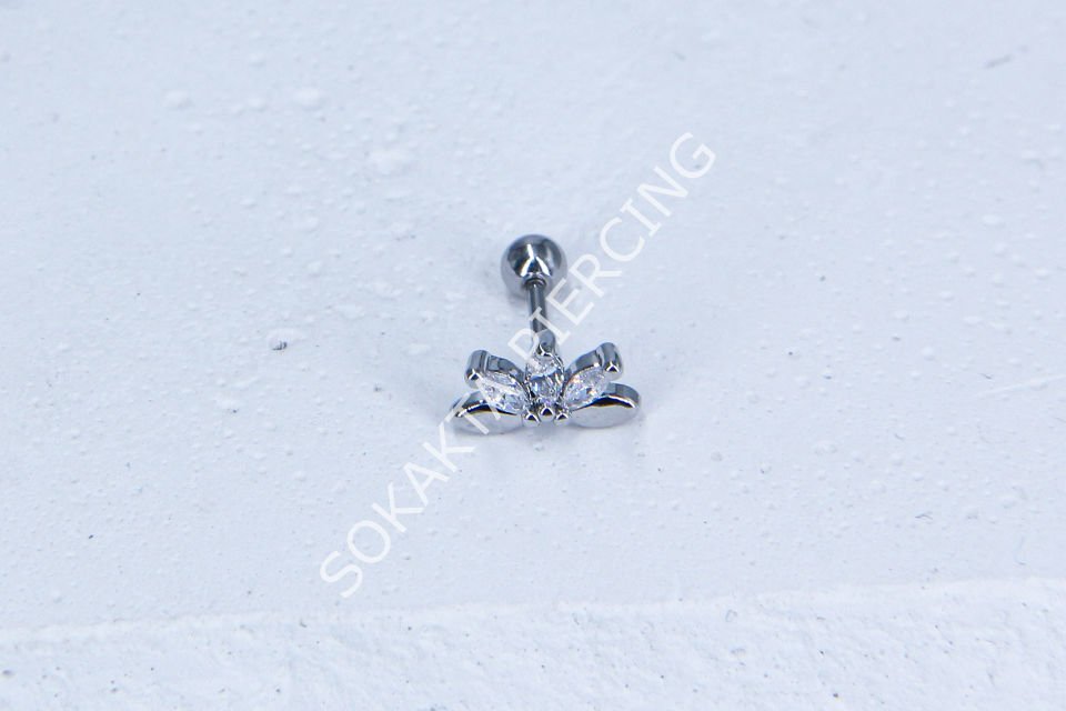 C13-TRAGUS