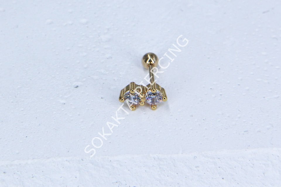C14-TRAGUS