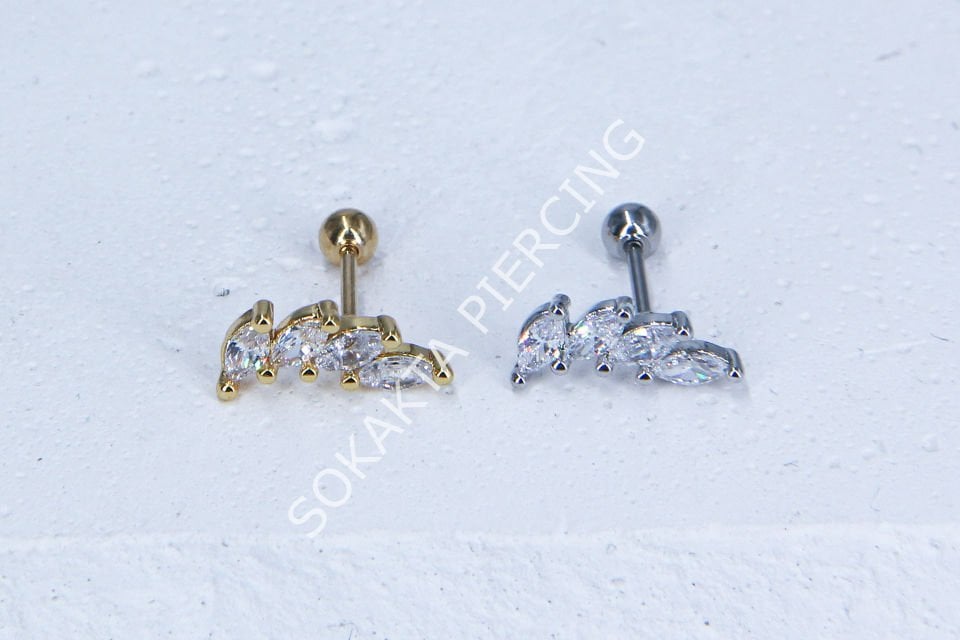 C15-TRAGUS