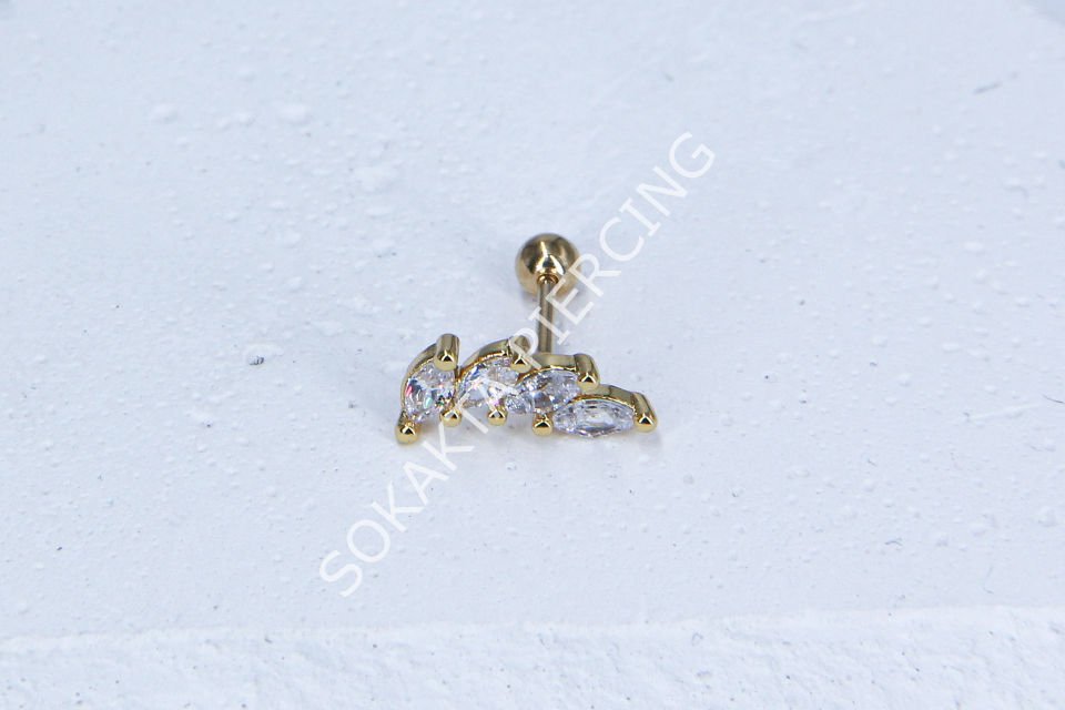C15-TRAGUS