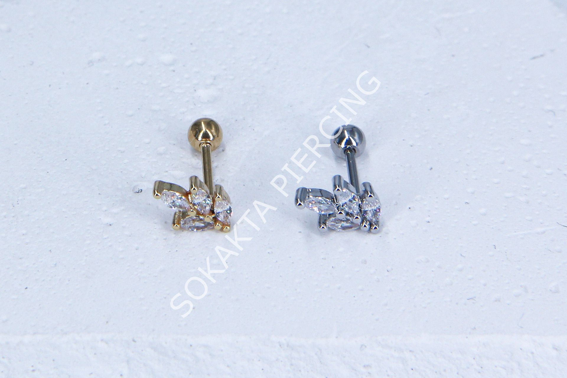 C16-TRAGUS
