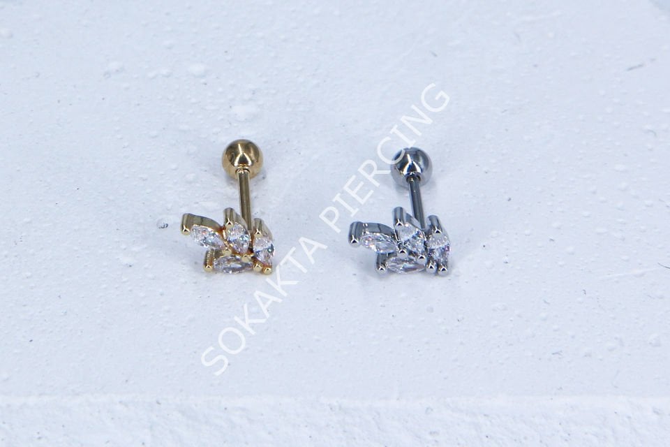C16-TRAGUS