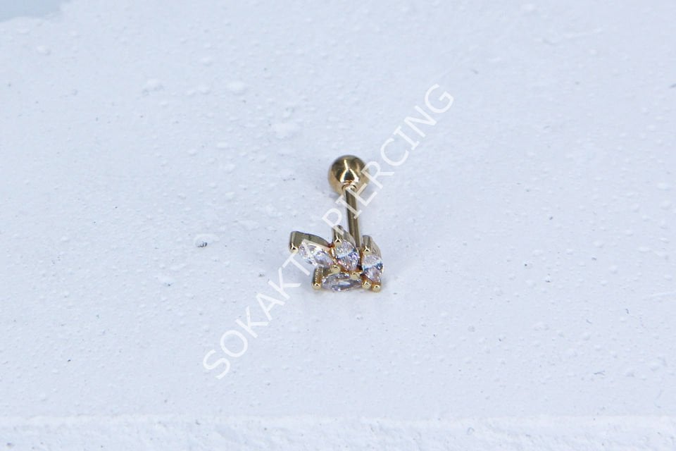 C16-TRAGUS