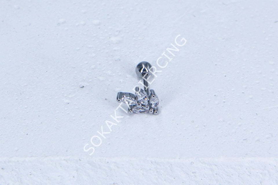 C16-TRAGUS