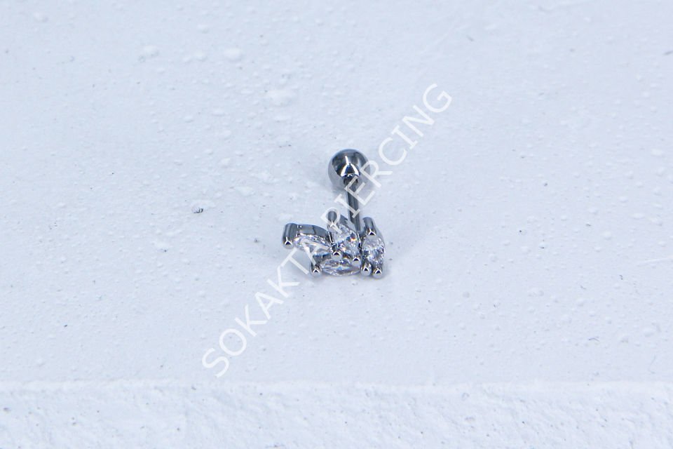 C16-TRAGUS