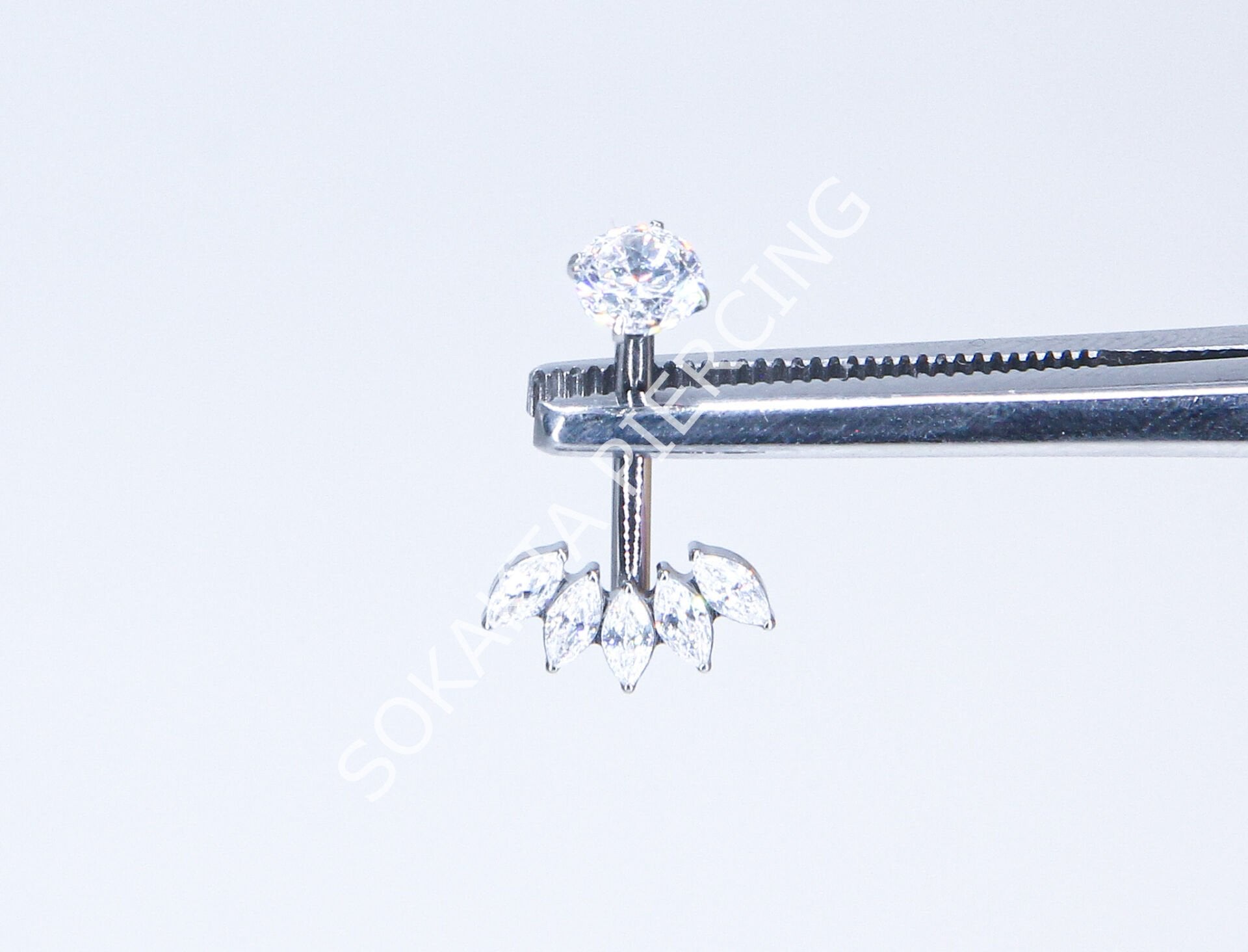 F255 - TITANIUM GÖBEK