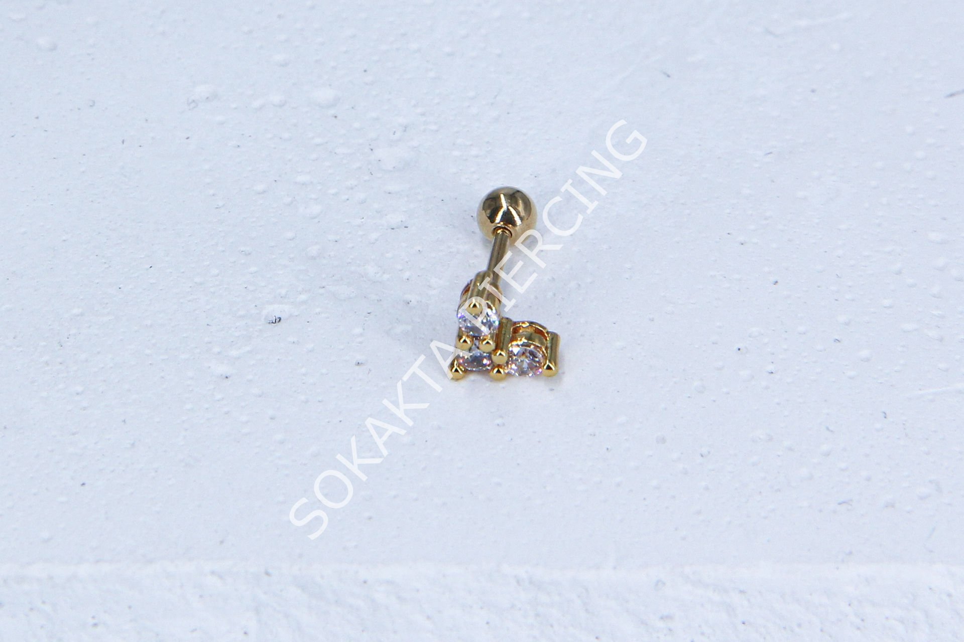 C17-TRAGUS