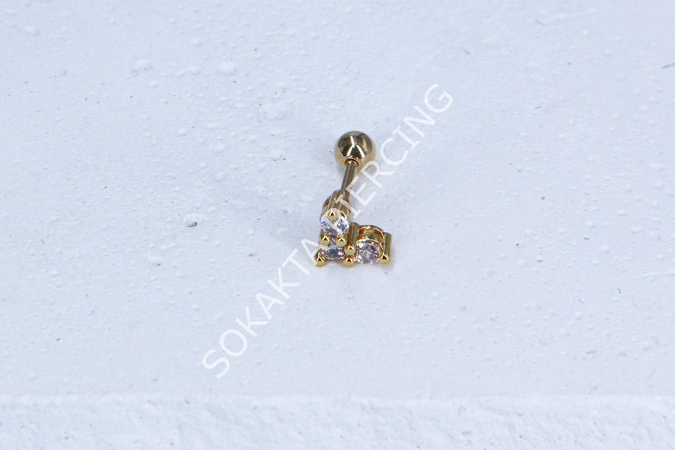 C17-TRAGUS