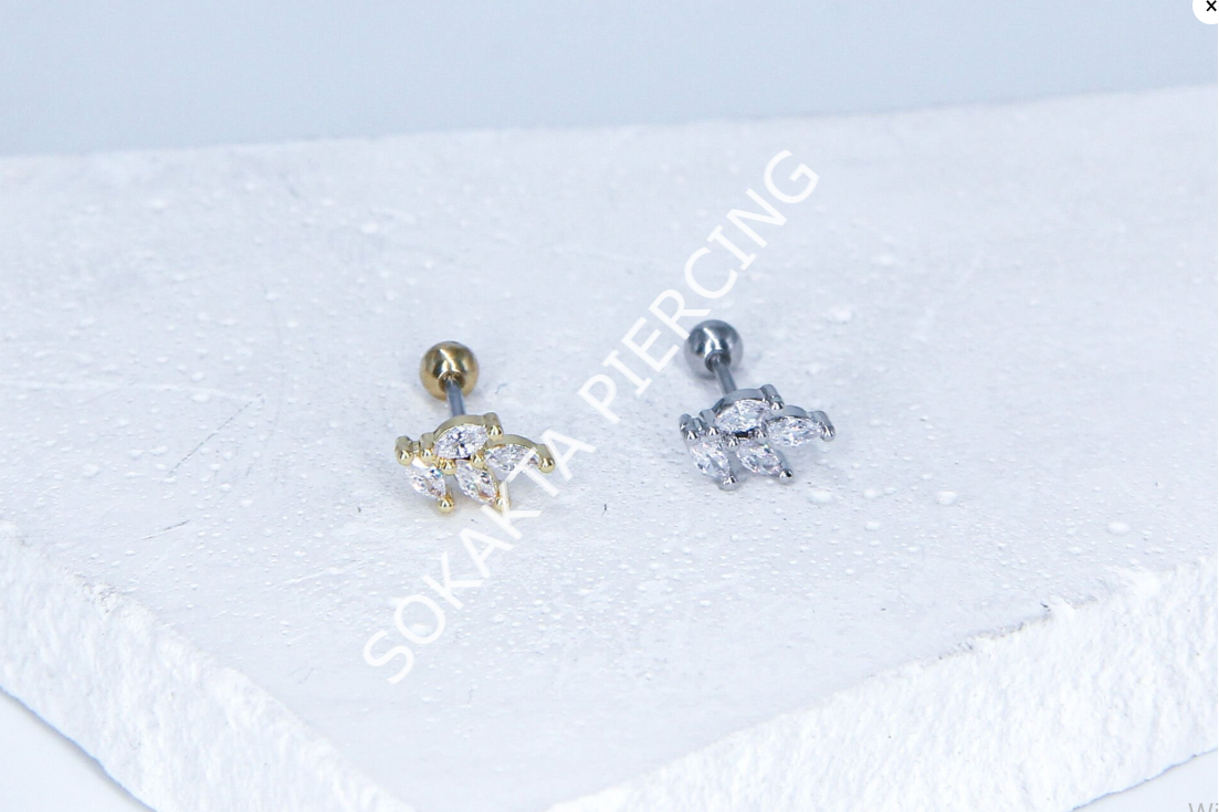 C51 - TRAGUS Silver