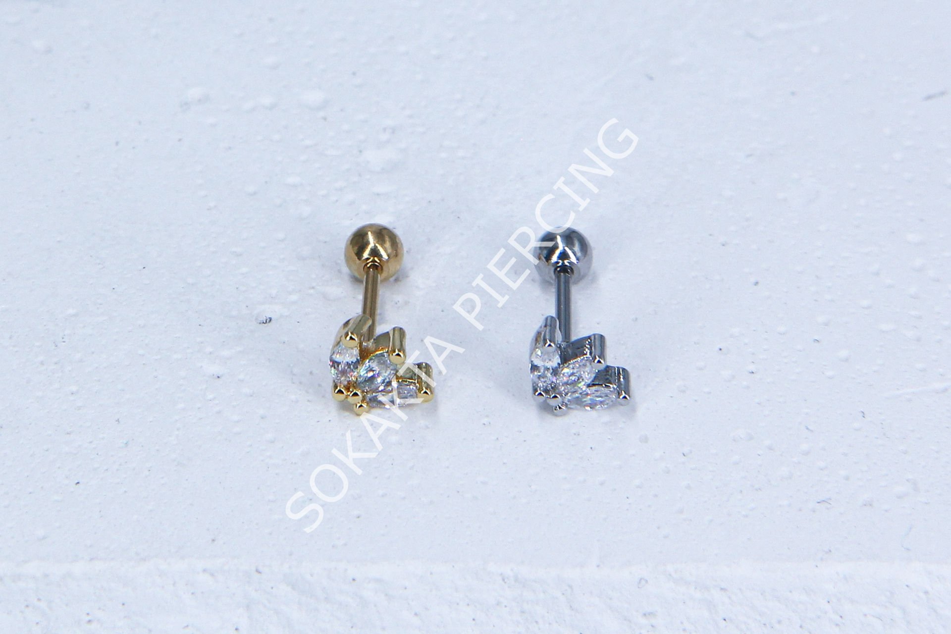 C12 - TRAGUS