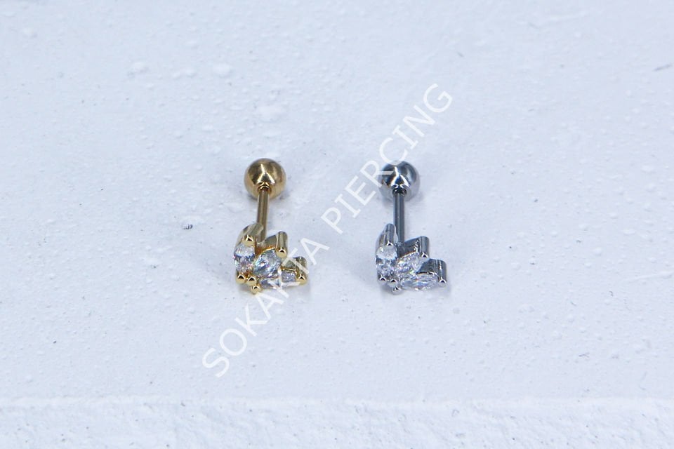 C12 - TRAGUS