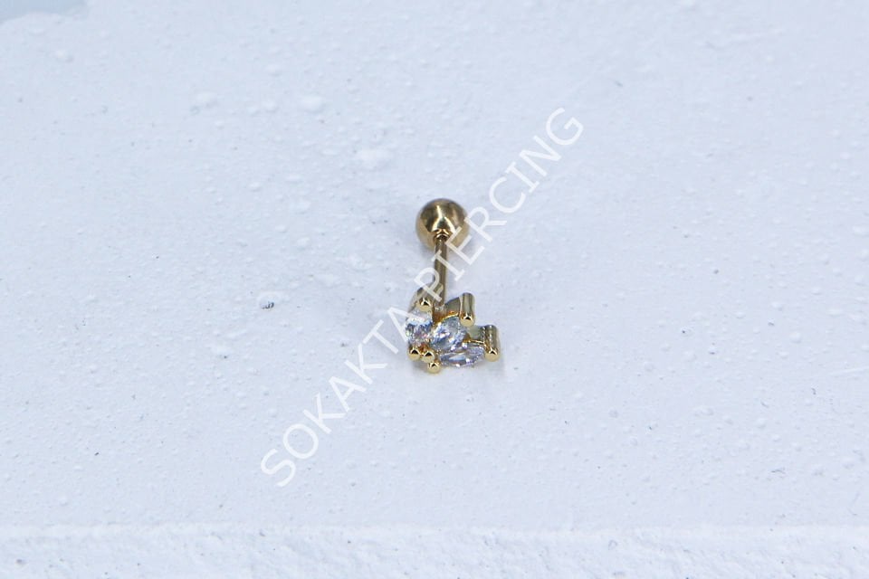 C12 - TRAGUS