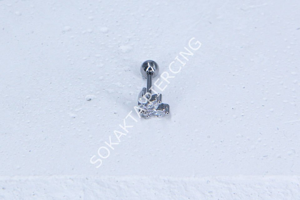 C12 - TRAGUS