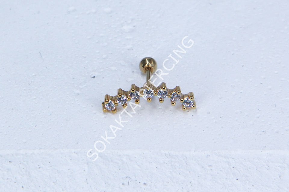 C20-TRAGUS