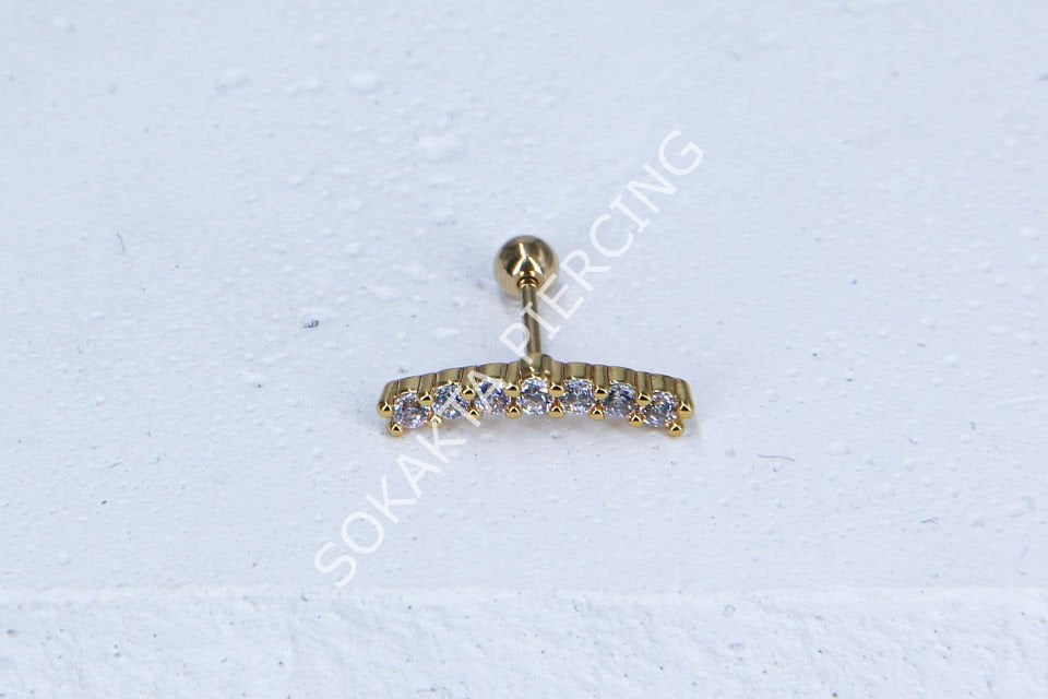 C21-TRAGUS