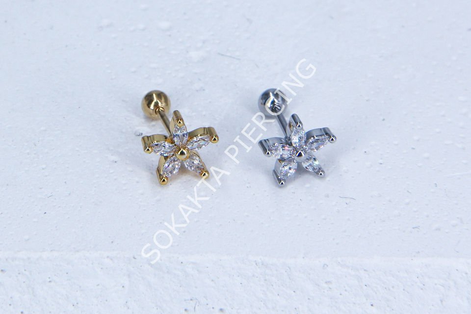 A100 - TRAGUS