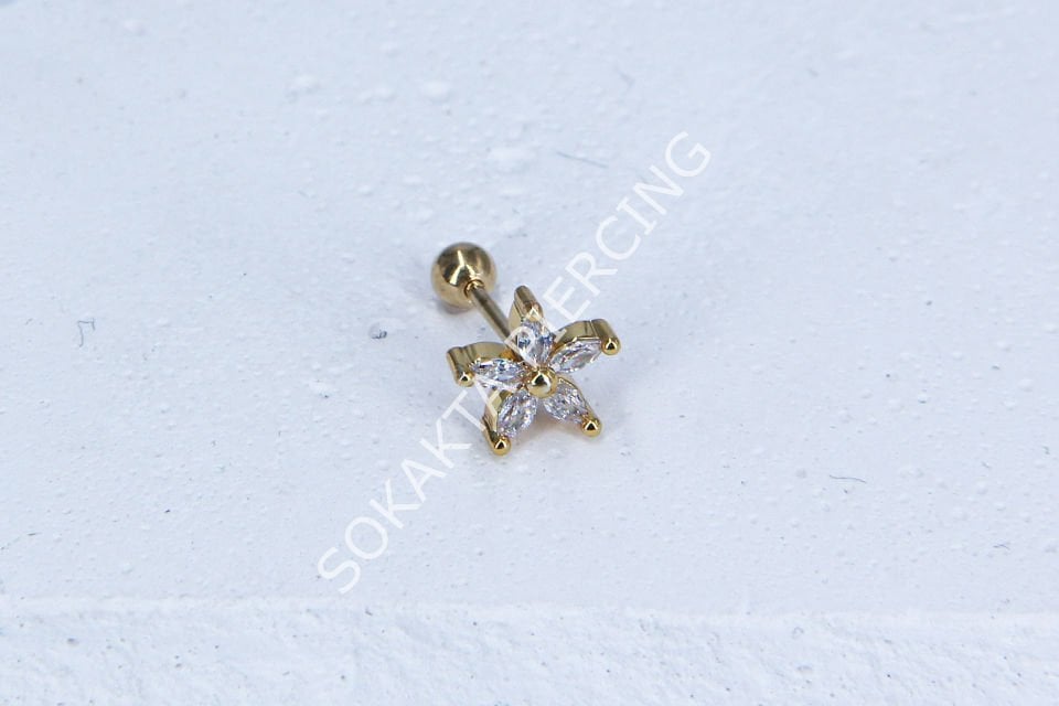 A100 - TRAGUS