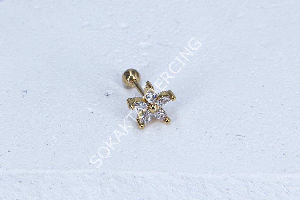 A100 - TRAGUS