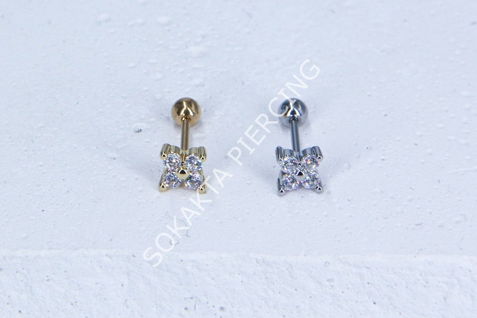 C23-TRAGUS