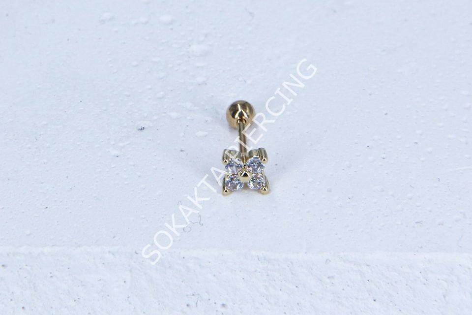 C23-TRAGUS