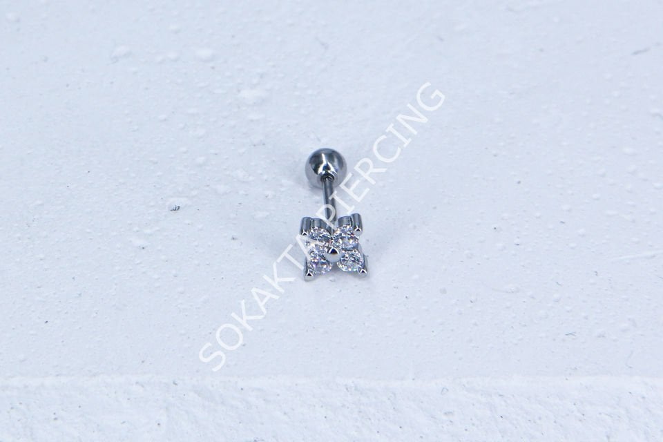 C23-TRAGUS