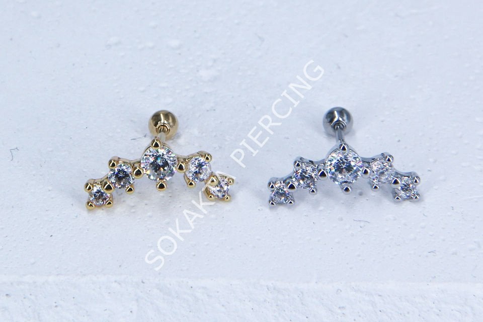 C19 - TRAGUS