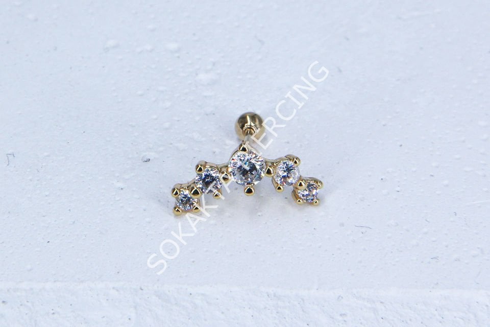 C19 - TRAGUS