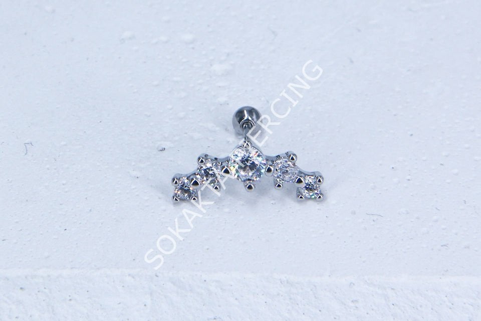 C19 - TRAGUS