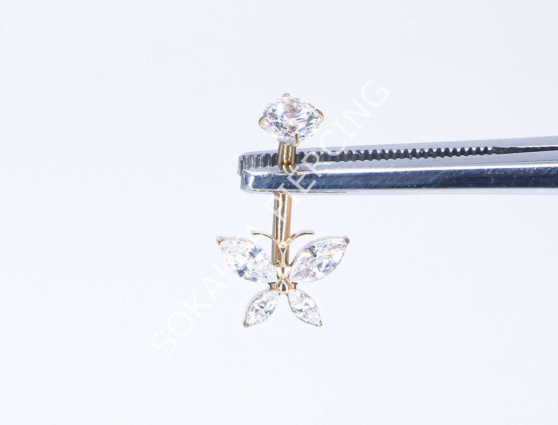 F239 - TITANIUM GÖBEK Gold