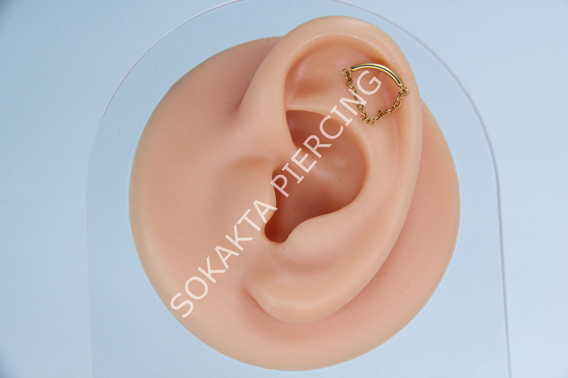 C28 - TRAGUS