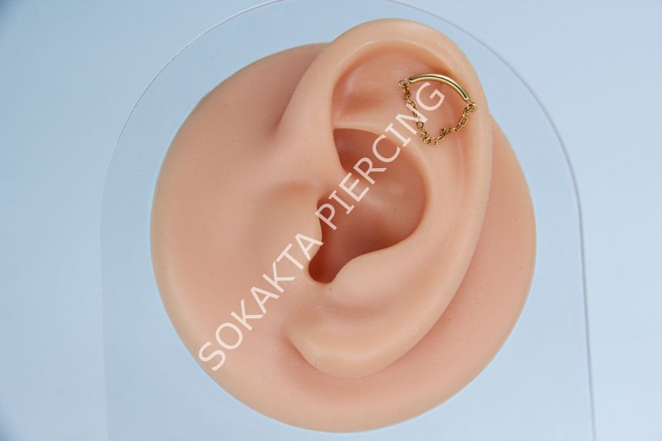 C28 - TRAGUS