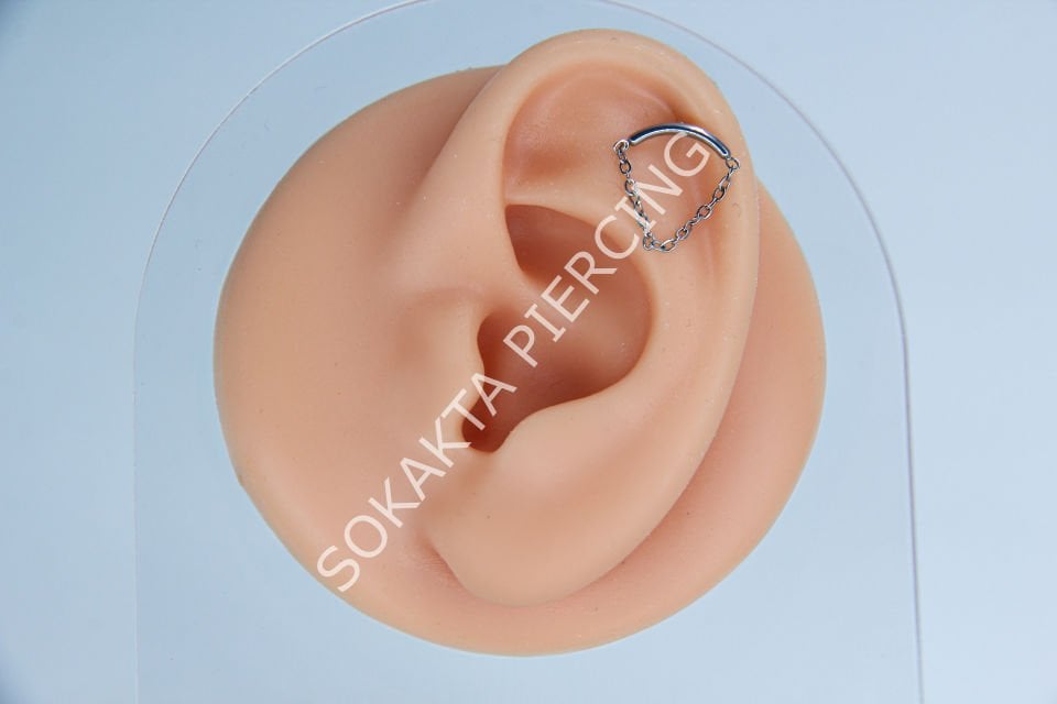 C28 - TRAGUS