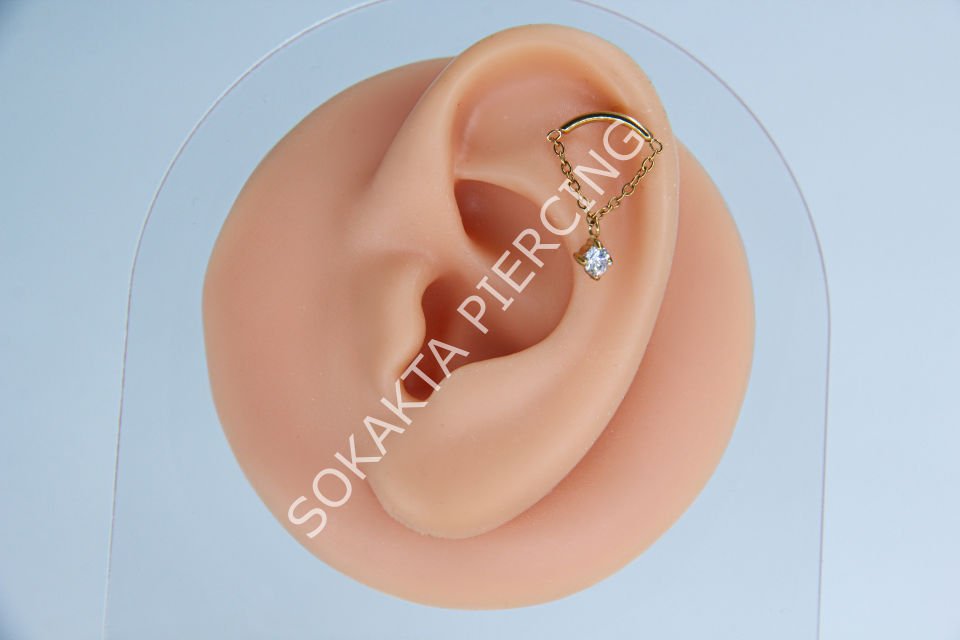 D104 - TRAGUS