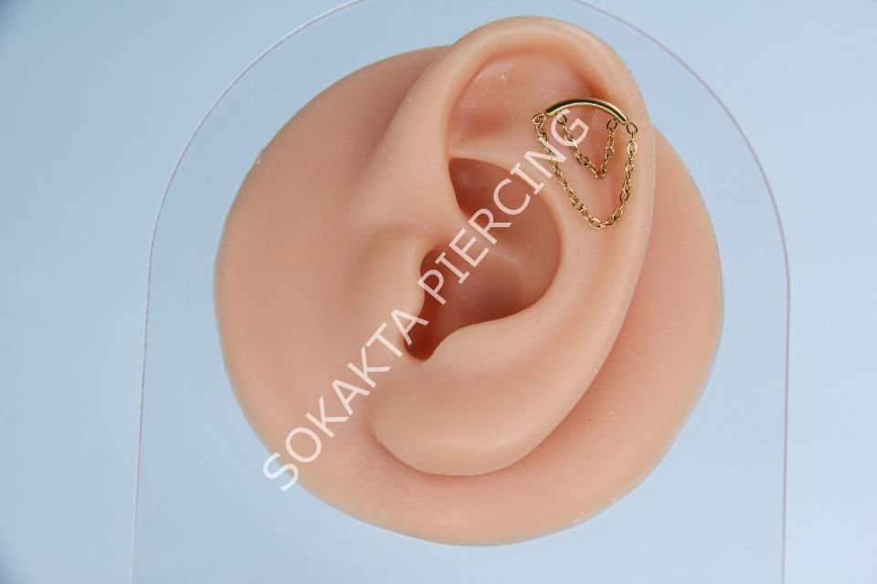 D105 - TRAGUS