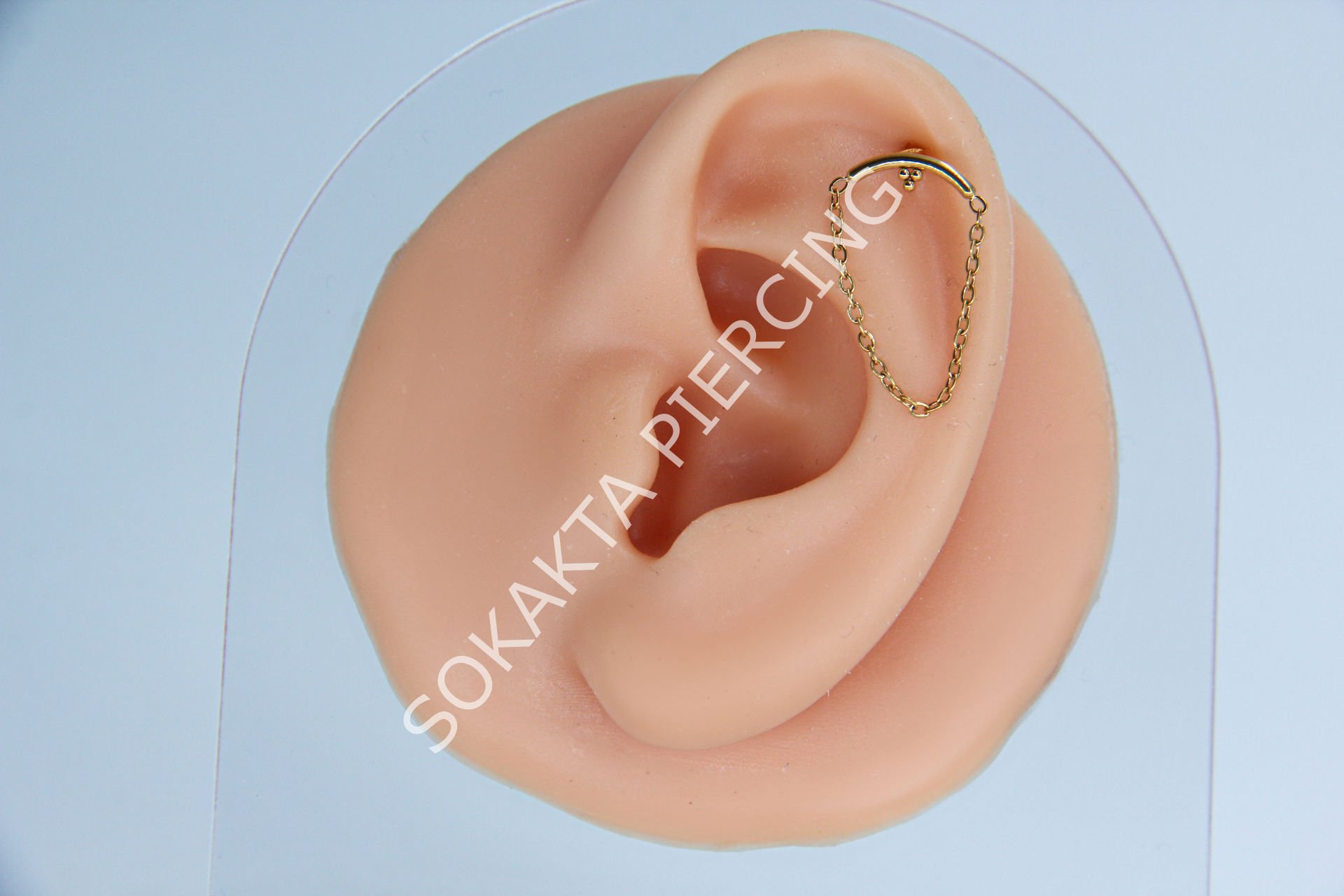 D107 - TRAGUS