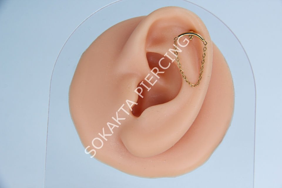 D107 - TRAGUS