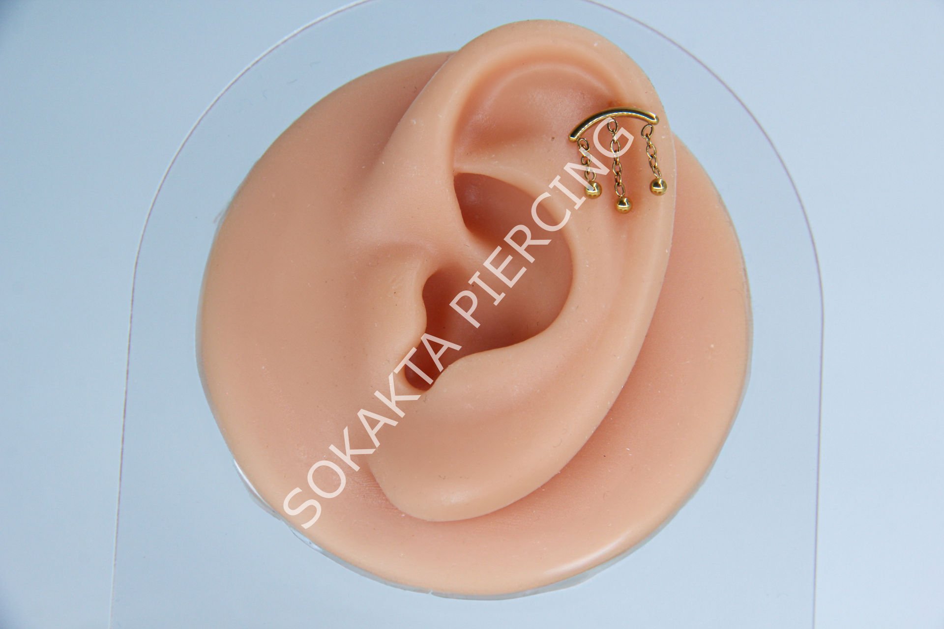 D106 - TRAGUS