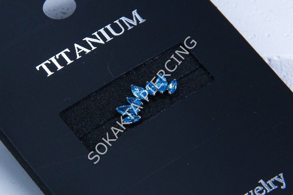 Z53 - TITANIUM TRAGUS