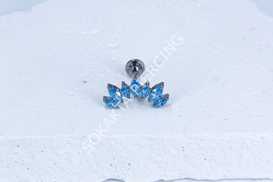 Z53 - TITANIUM TRAGUS