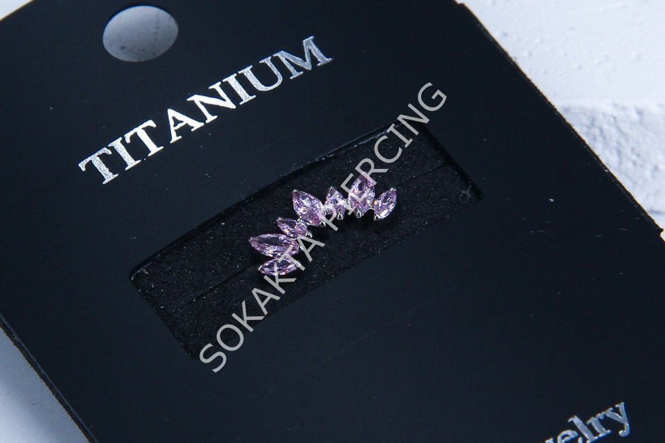 M49 - TITANIUM TRAGUS