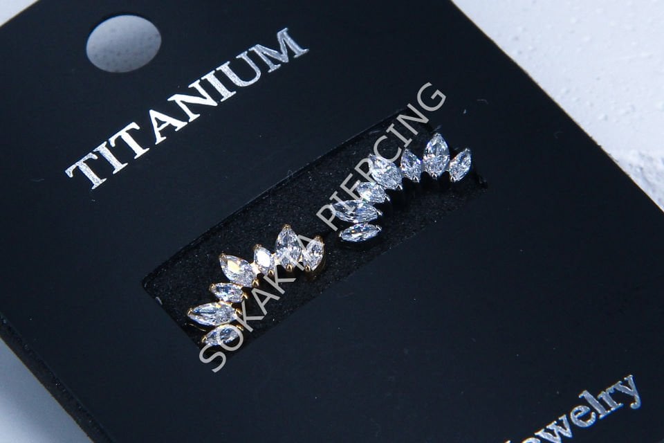 Z54-55- TITANIUM TRAGUS