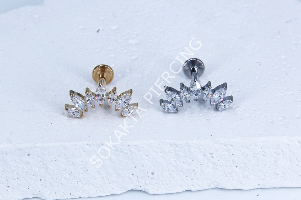 Z54-55- TITANIUM TRAGUS