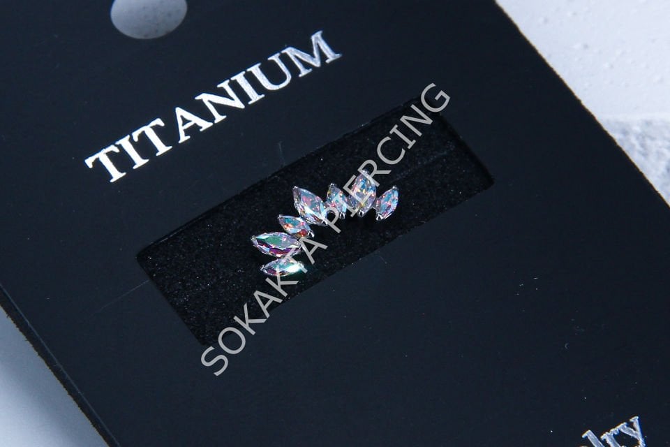 M51 - TITANIUM TRAGUS