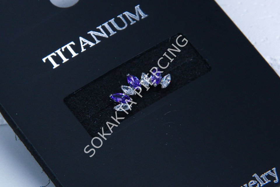 Z47 - TITANIUM TRAGUS