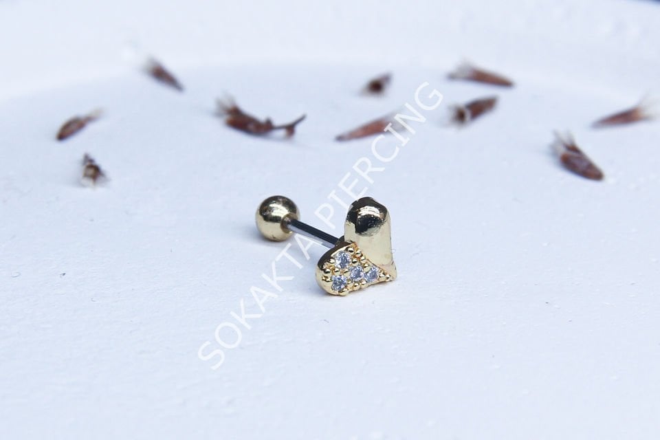 B32 - TRAGUS