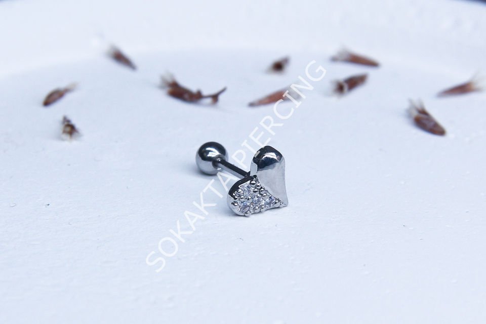 Z32 - TRAGUS