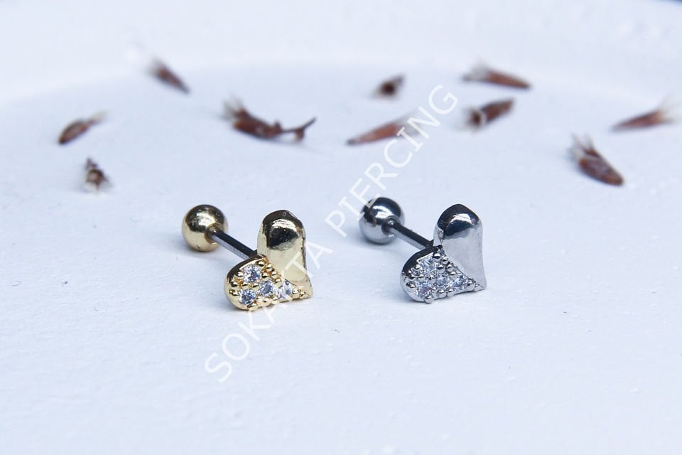 B32 - TRAGUS